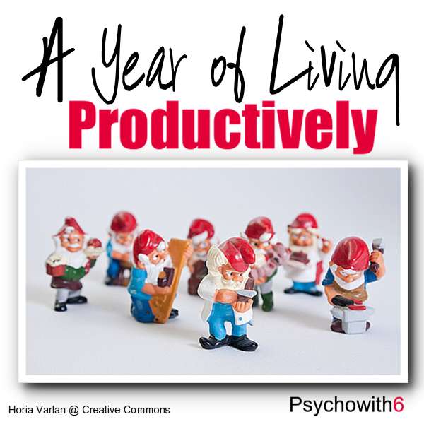 A Year of Living Productively