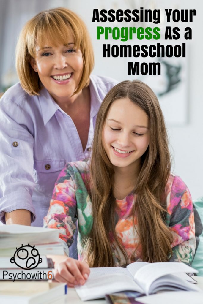 Assessing Your Progress as a Homeschool Mom