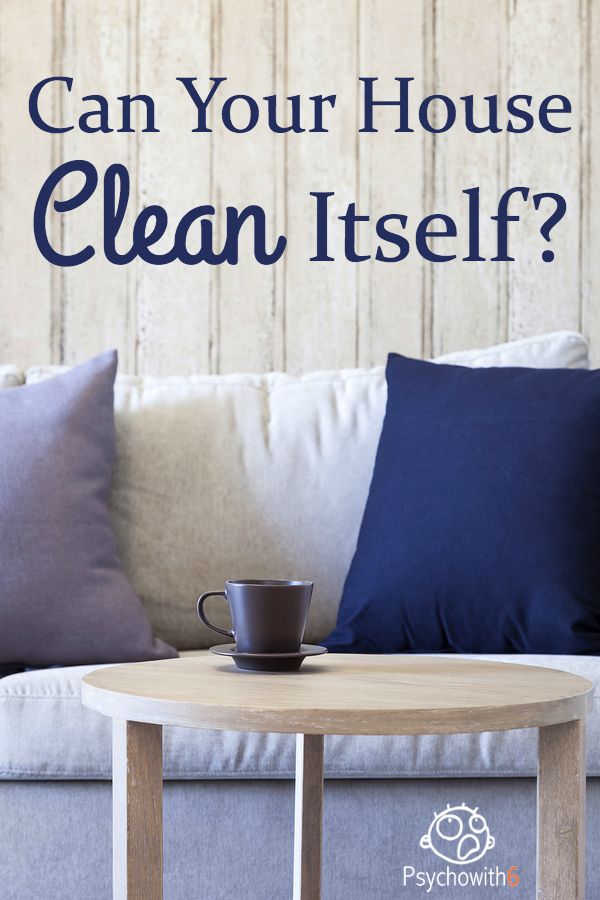 Can Your House Clean Itself?