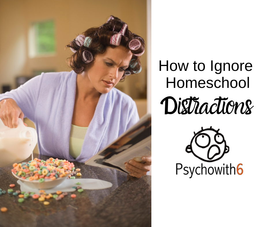 How To Ignore Homeschool Distractions