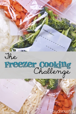 The best way to start freezer cooking. Get organized, get some meals in the freezer, and you can relax this fall!