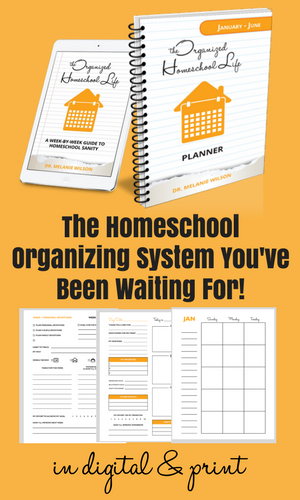 Homeschool Organizing System with samples