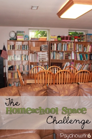 The Homeschool Space Challenge: Week 24