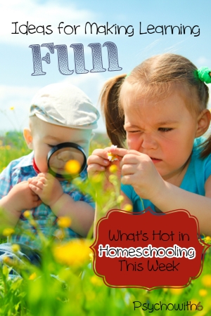 learning, fun, ideas, homeschool