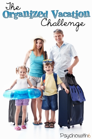 The Organized Vacation Challenge: Week 20