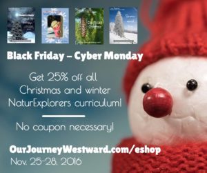 our-journey-westward-black-friday