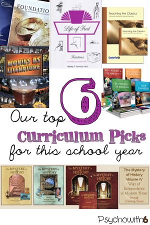 Our Top Six Homeschool Curriculum Picks