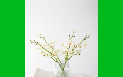 Spring Cleaning KonMari Style