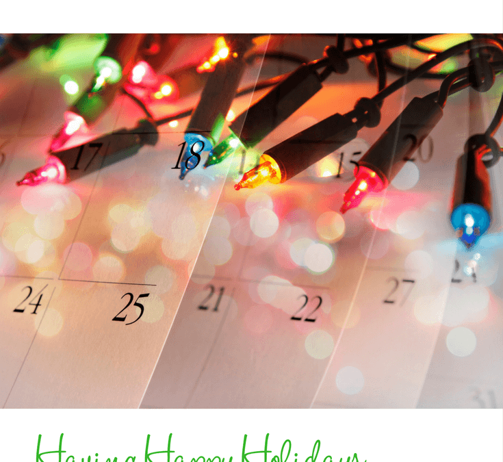 Are You Planning Happy Holidays?