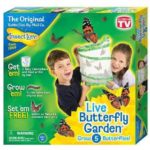 Butterfly kit