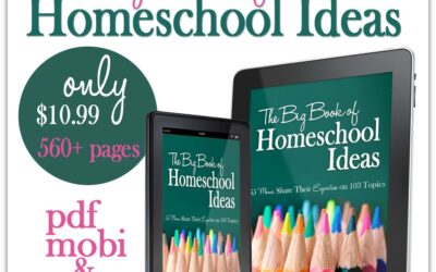 Ideas for Homeschooling at Every Stage