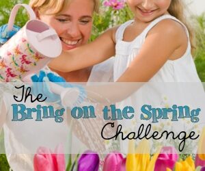 Week 10: The Bring on the Spring Challenge