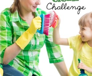 The Company Clean Challenge: Week 51
