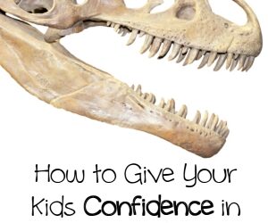 You Can Be Confident in Teaching Creation