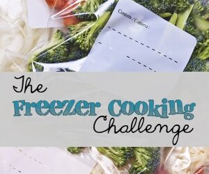 The Freezer Cooking Challenge: Week 39
