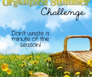 The Organized Summer Challenge: Week 21