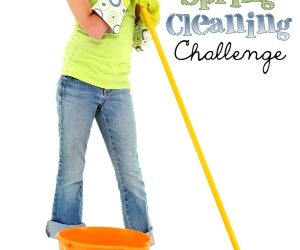 Week 11: The Spring Cleaning Challenge