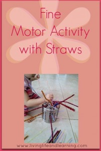 fine motor activity